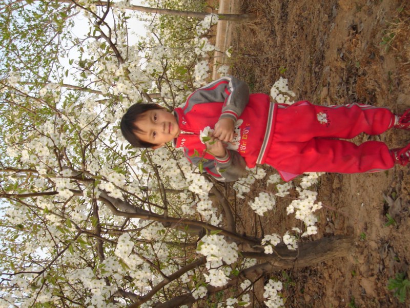 DSC01717 [800x600].jpg