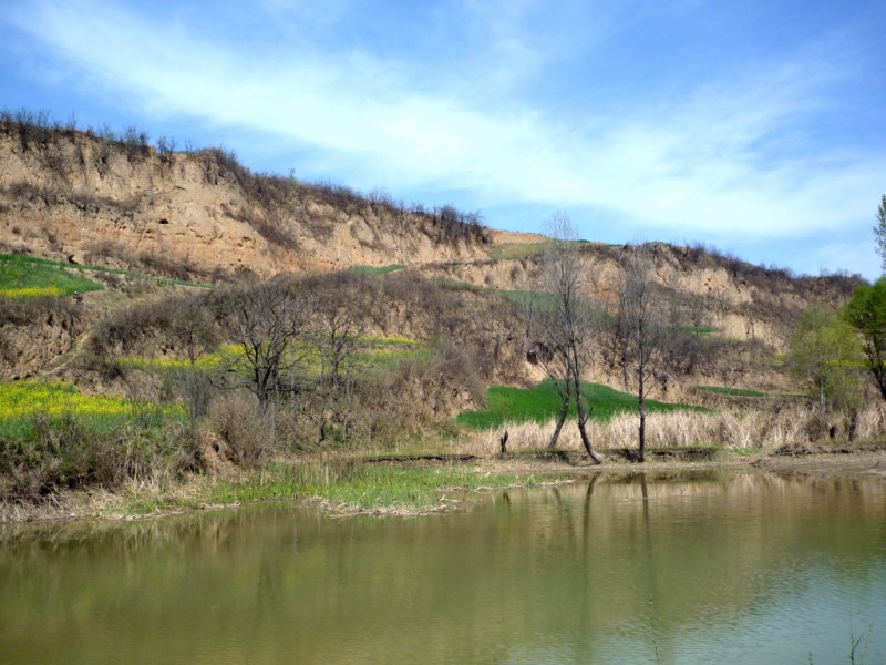 �����ع� P1010136 [800x600].jpg