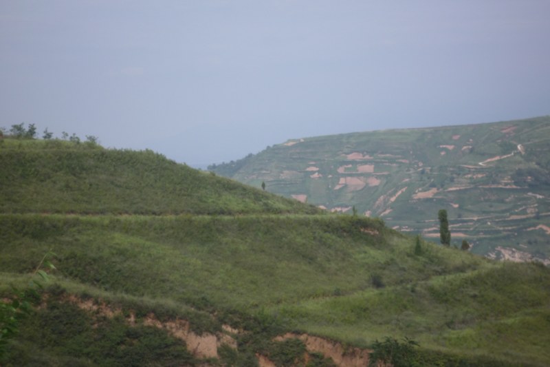 P1020127 [800x600].jpg