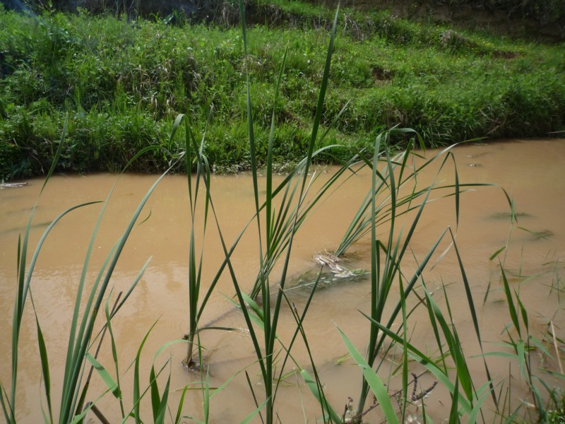 P1010247 [800x600].jpg