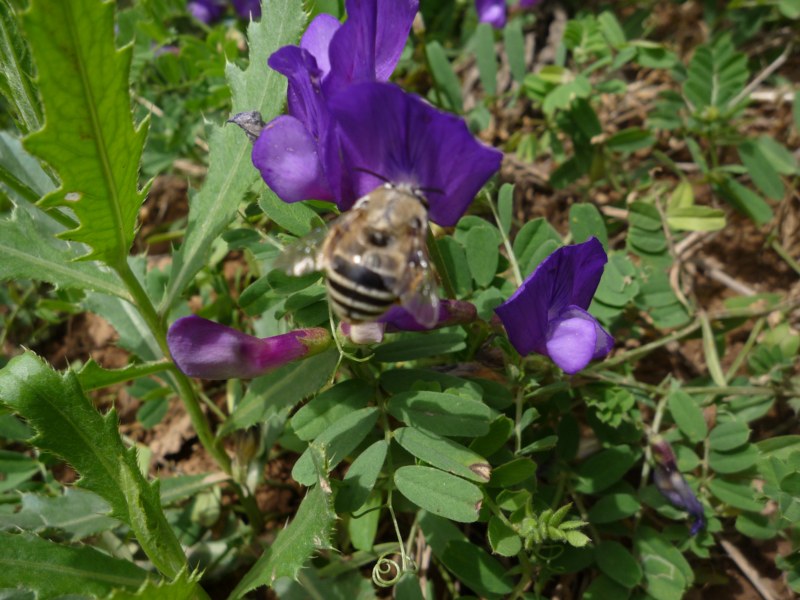 P1010286 [800x600].jpg