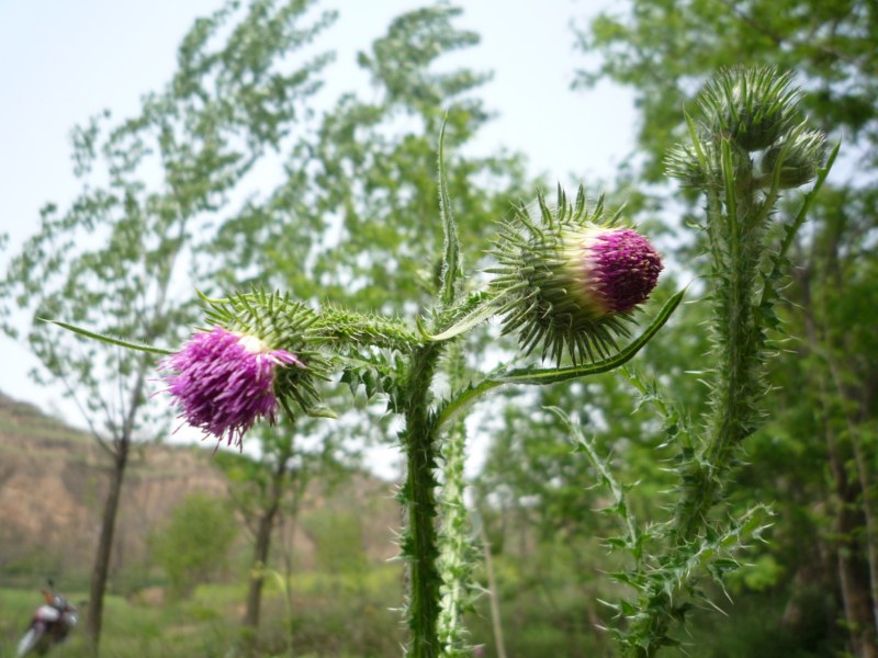 P1010244 [800x600].jpg