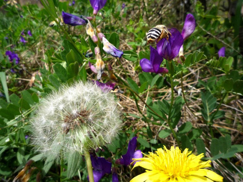 �����ع� P1010275 [800x600].jpg