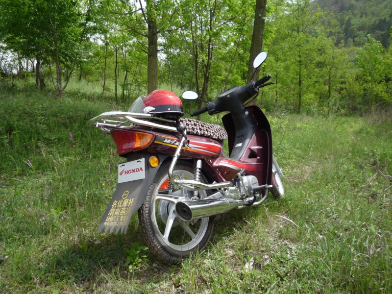 P1010241 [800x600].jpg