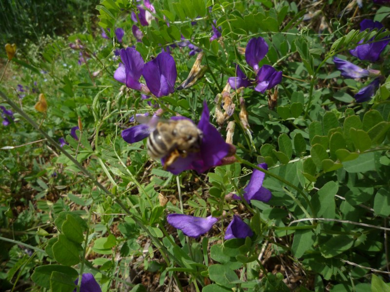 P1010279 [800x600].jpg