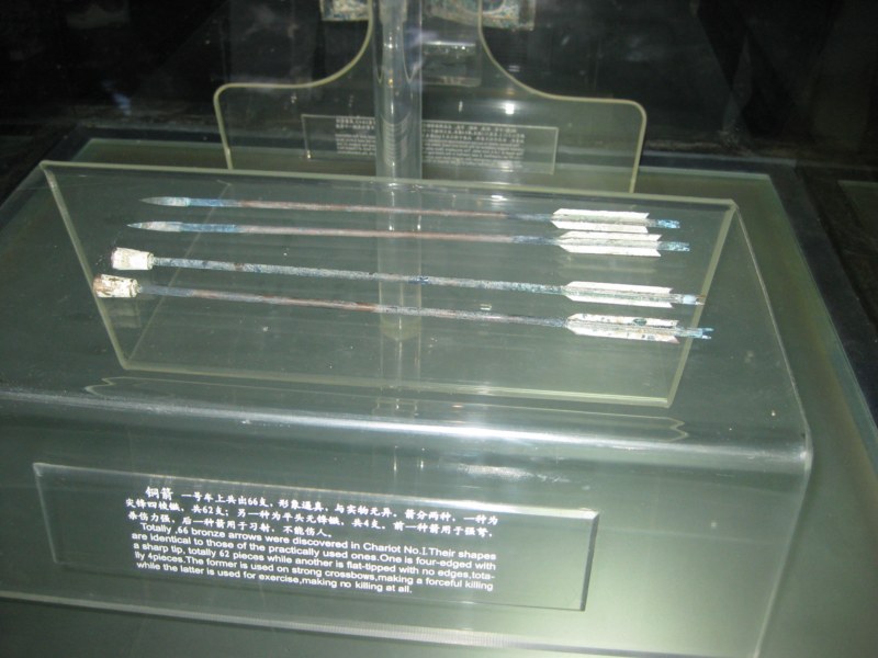 IMG_1010 [800x600].jpg