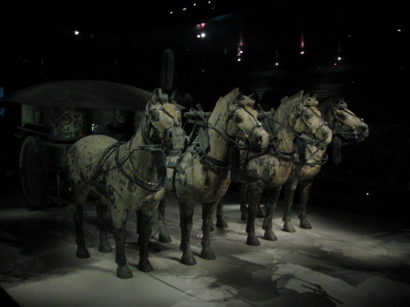 IMG_1007 [800x600].jpg