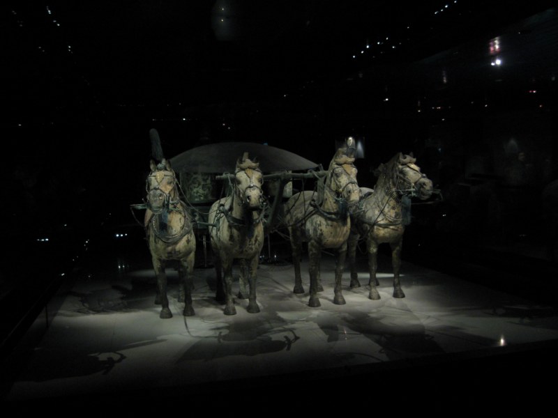 IMG_1006 [800x600].jpg