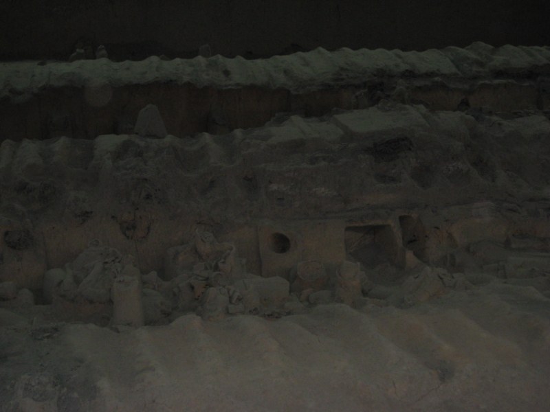 IMG_1031 [800x600].jpg