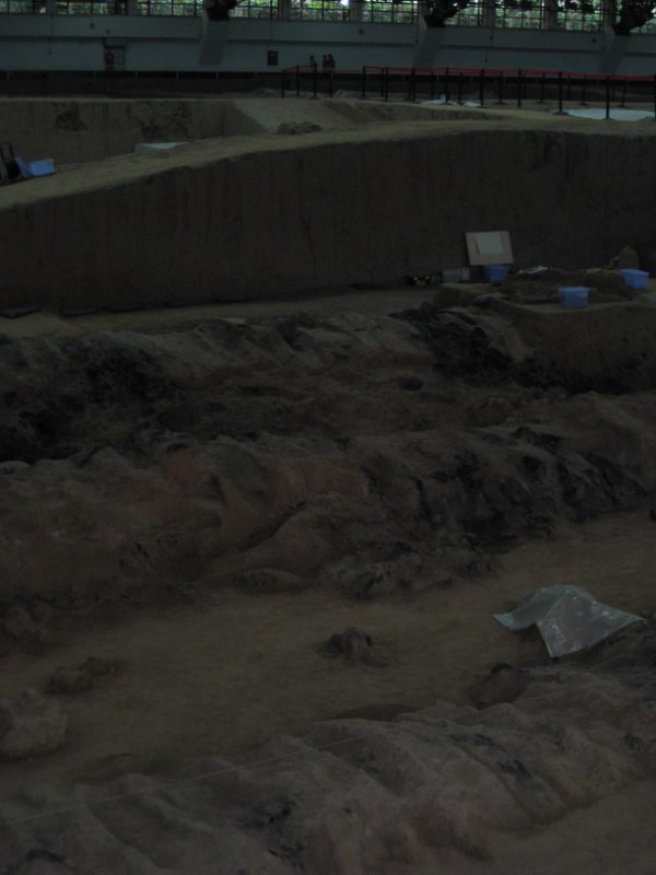 IMG_1032 [800x600].jpg