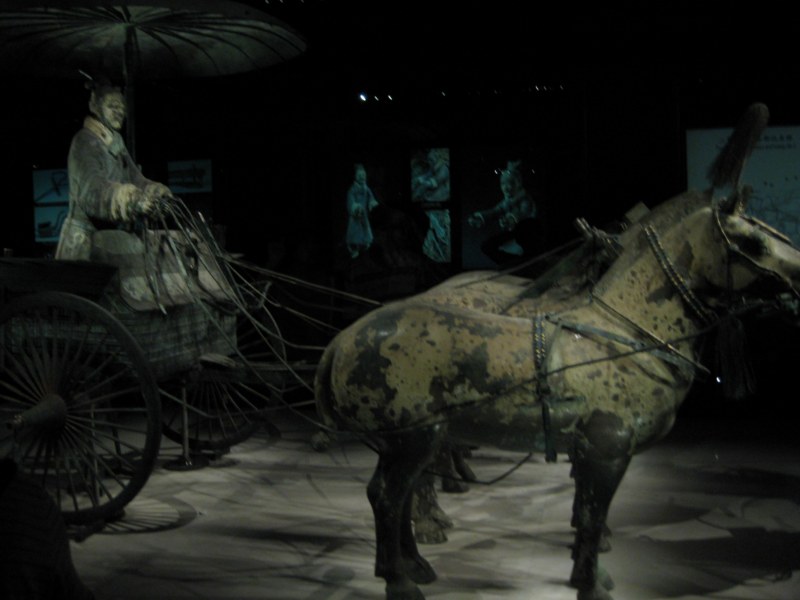 IMG_1005 [800x600].jpg