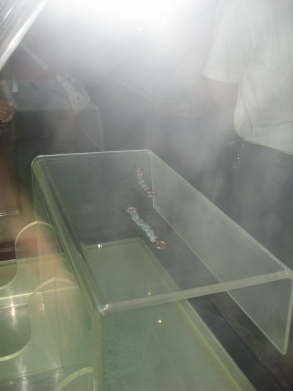 IMG_1013 [800x600].jpg