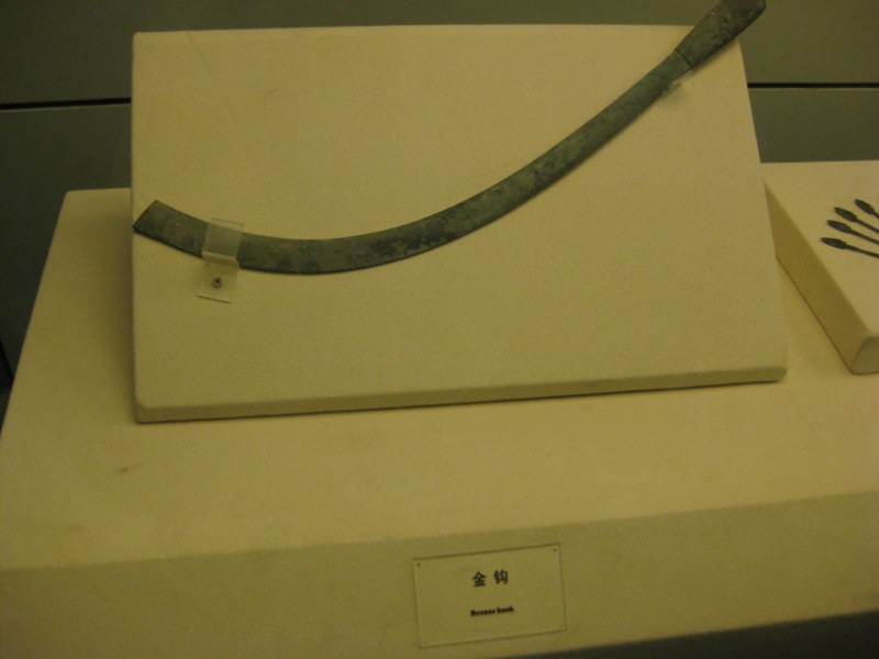 IMG_1061 [800x600].jpg