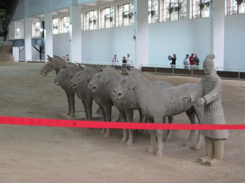 IMG_1037 [800x600].jpg