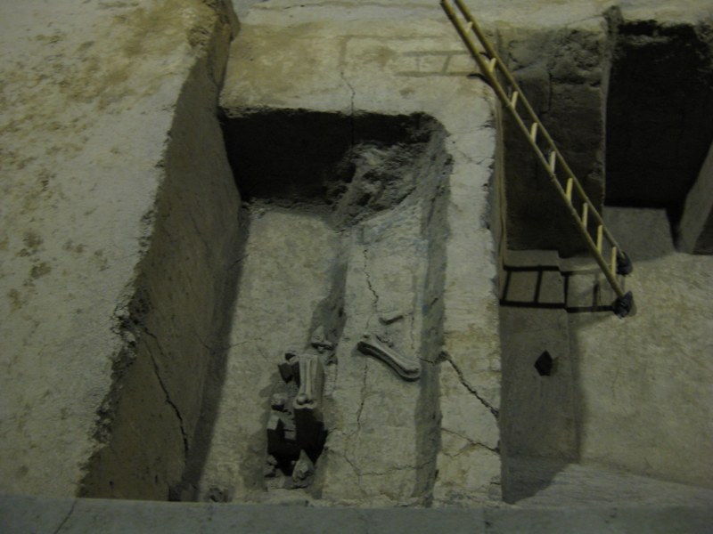 IMG_1044 [800x600].jpg