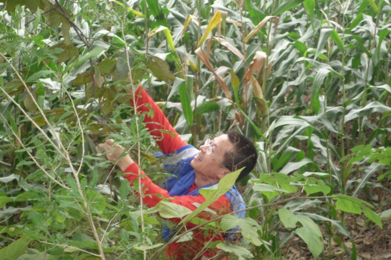 P1040344 [800x600].jpg