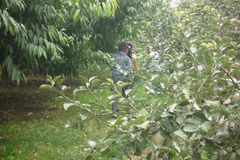 P1040323 [800x600].jpg