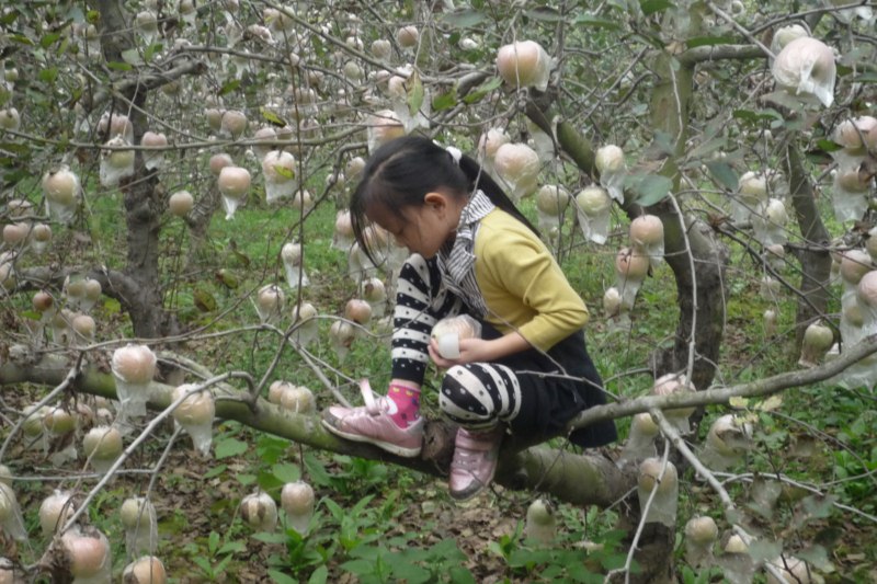 P1040329 [800x600].jpg