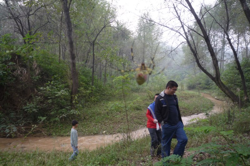 P1040357 [800x600].jpg