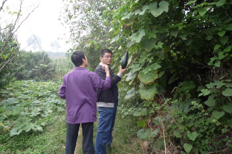 P1040405 [800x600].jpg