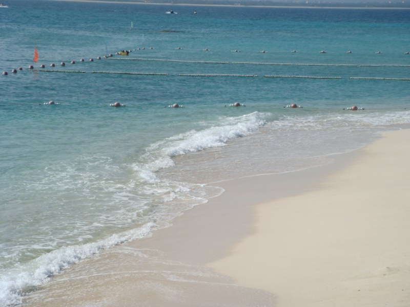 DSC00502 [800x600].jpg