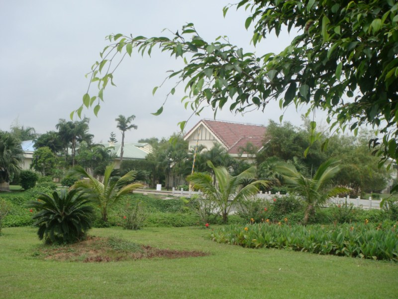 DSC00425 [800x600].jpg