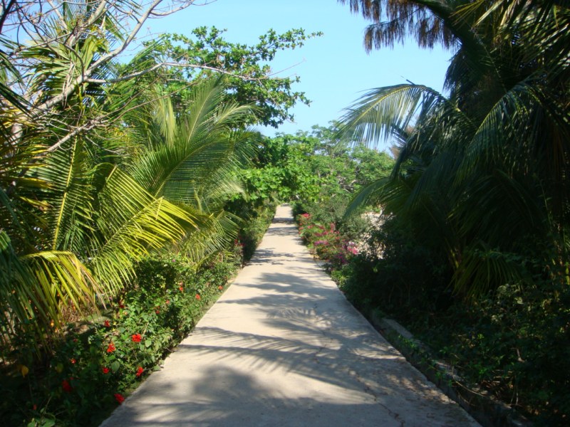 DSC00501 [800x600].jpg