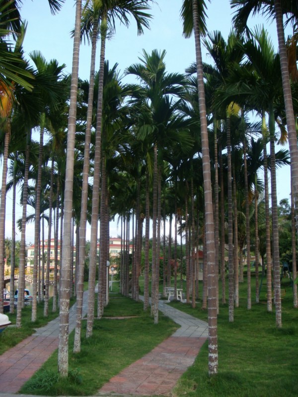 DSC00455 [800x600].jpg