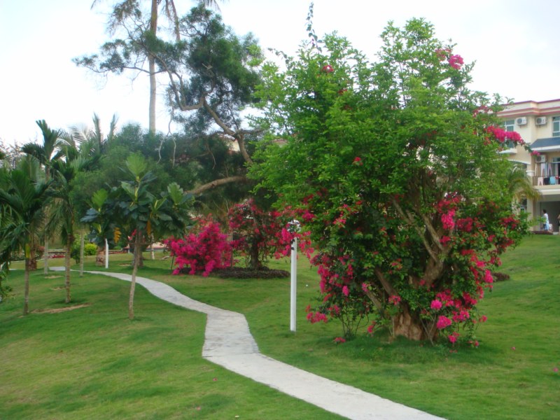 DSC00463 [800x600].jpg