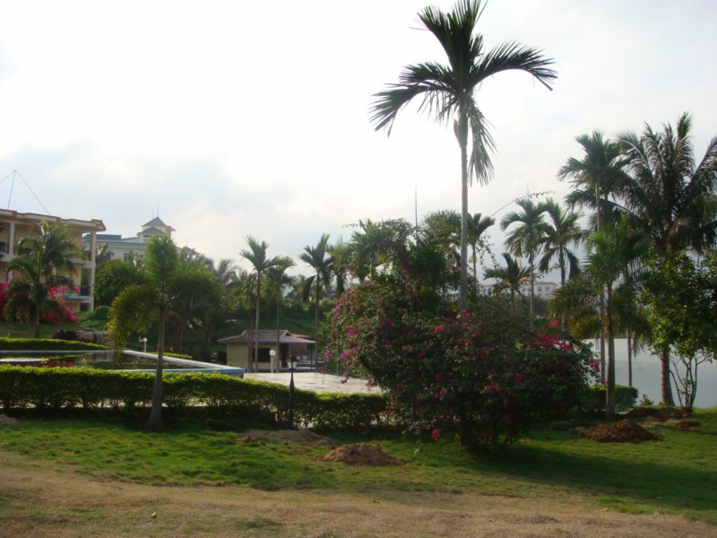 DSC00440 [800x600].jpg