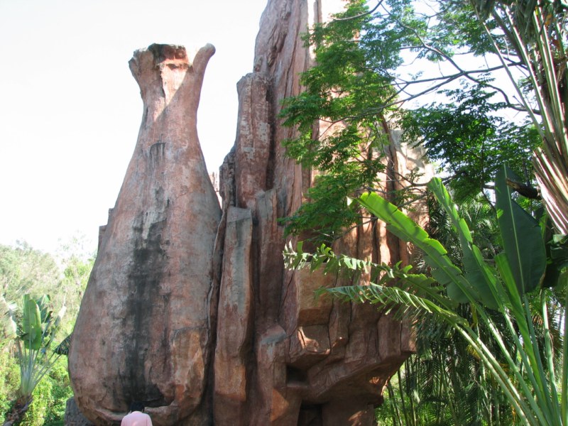 IMG_6599 [800x600].jpg