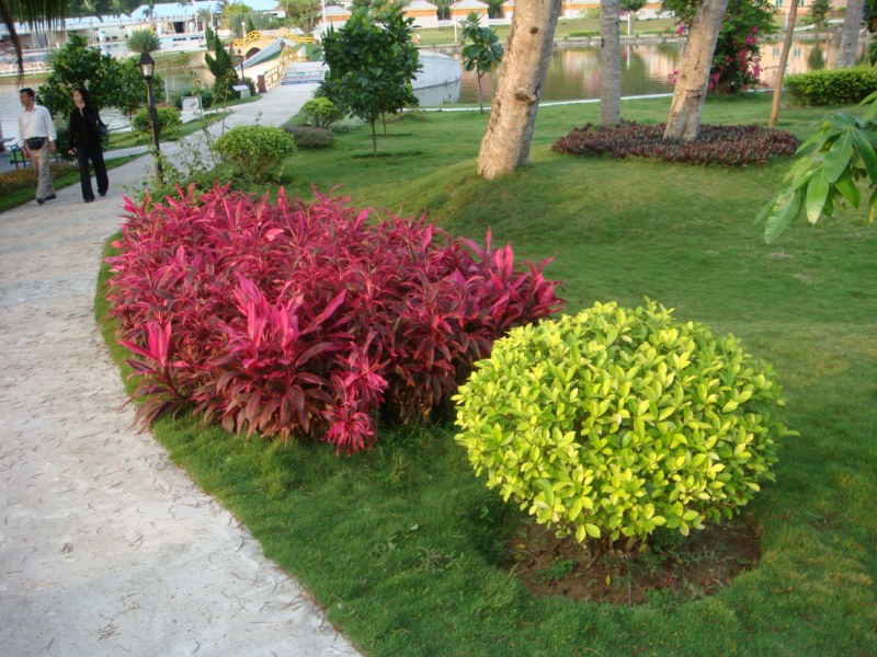 DSC00469 [800x600].jpg