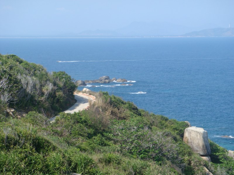 DSC00488 [800x600].jpg