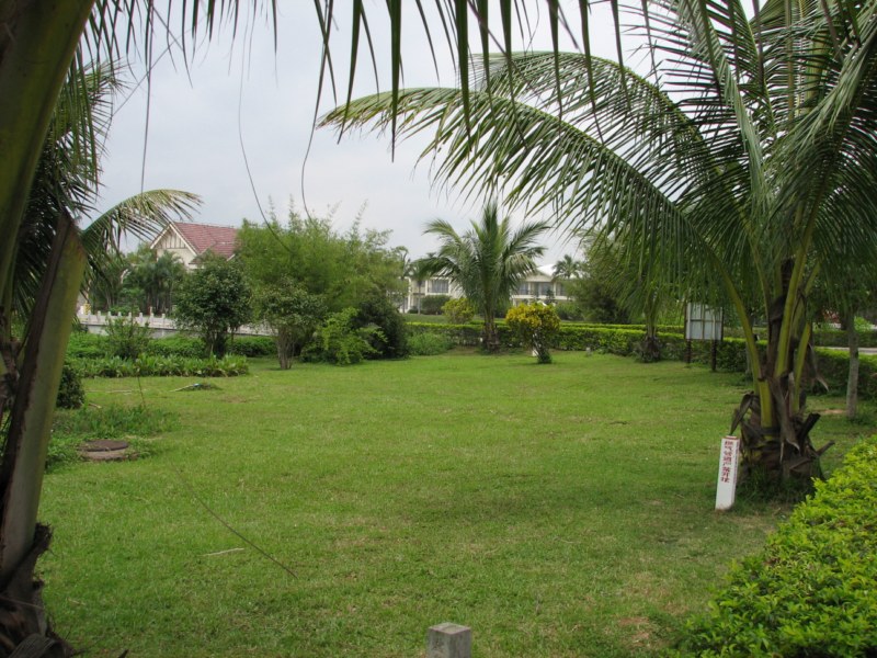 IMG_6522 [800x600].jpg