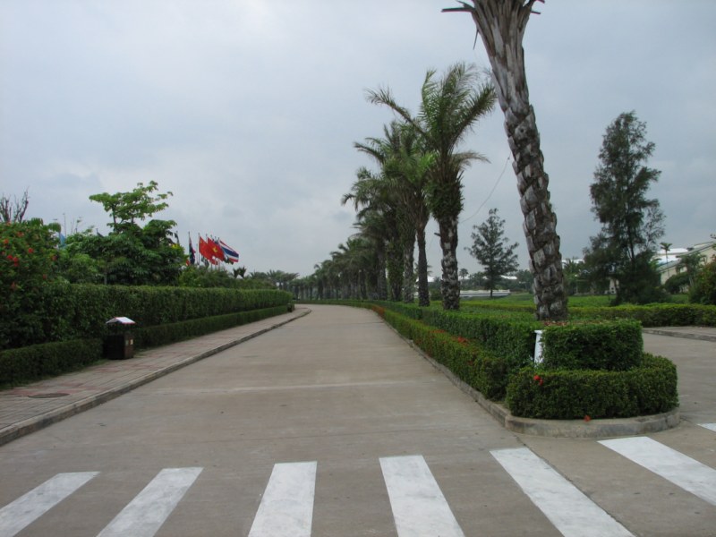 IMG_6517 [800x600].jpg