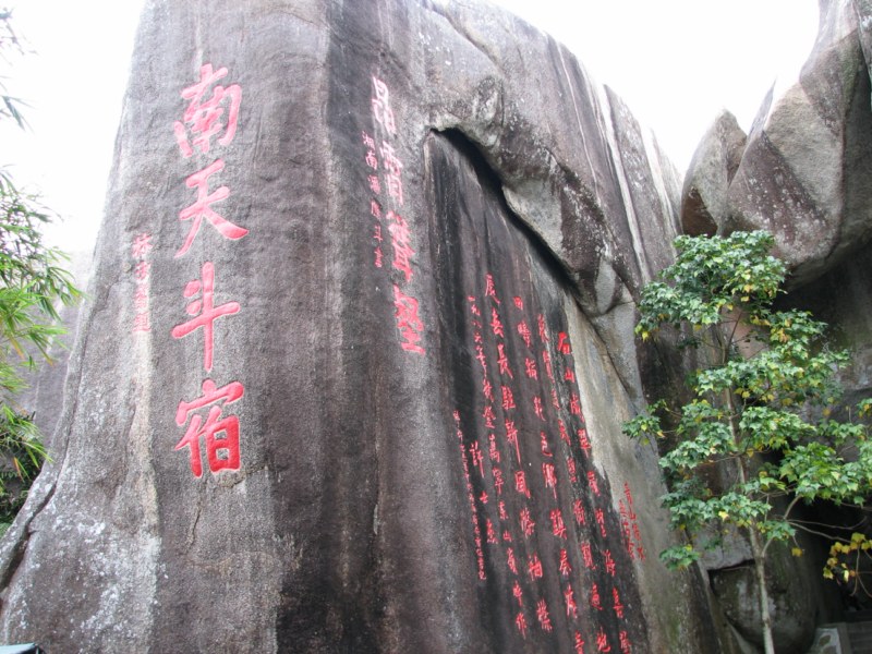 IMG_6533 [800x600].jpg