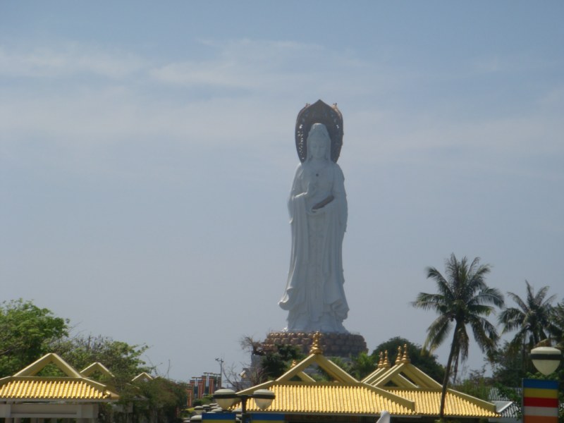 DSC00541 [800x600].jpg