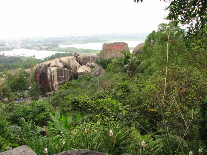 IMG_6531 [800x600].jpg