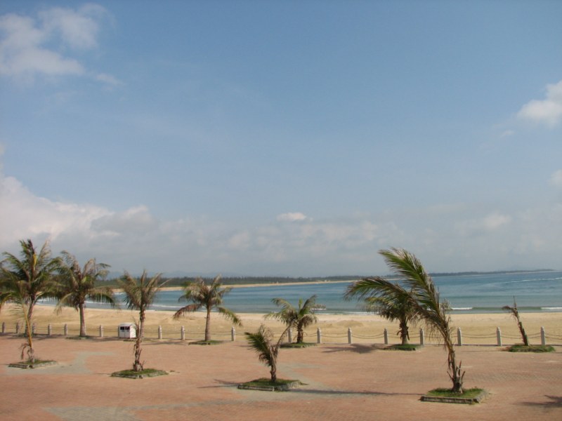 IMG_6554 [800x600].jpg