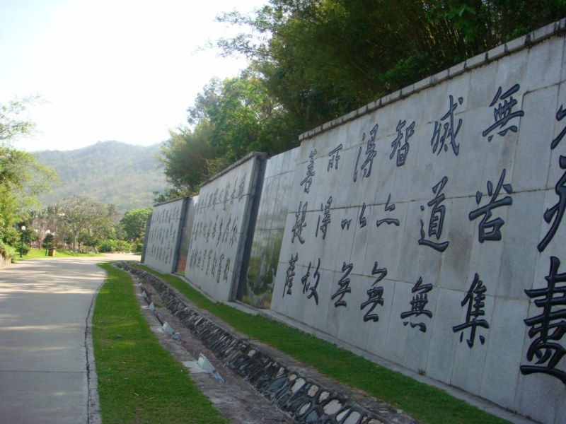 DSC00515 [800x600].jpg