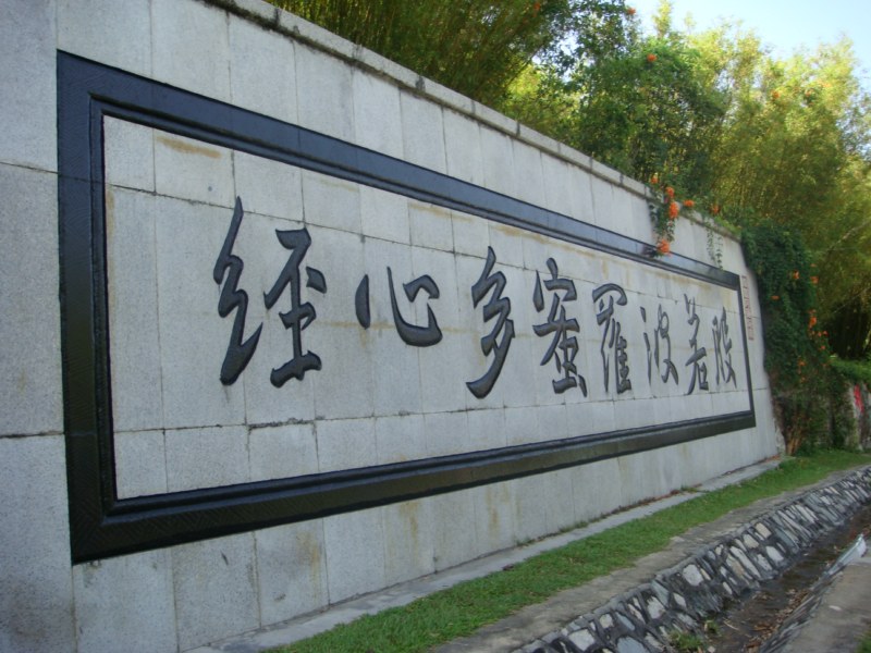 DSC00524 [800x600].jpg