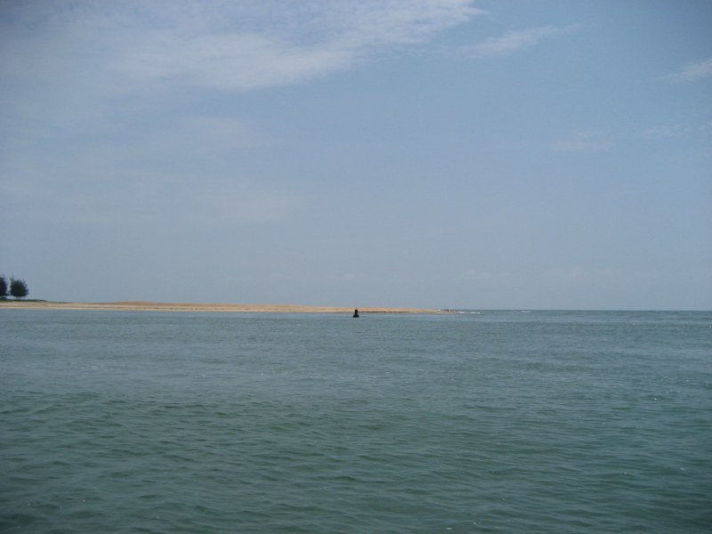 IMG_2679 [800x600].jpg