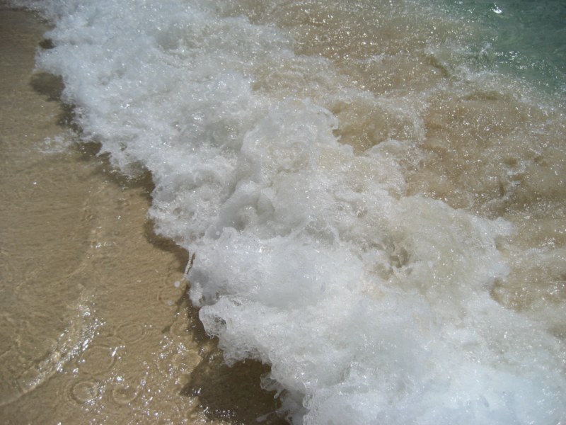 IMG_2770 [800x600].jpg