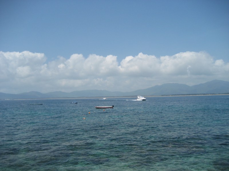 IMG_2736 [800x600].jpg