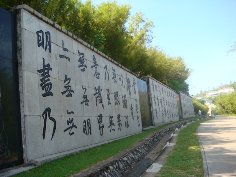 DSC00517 [800x600].jpg