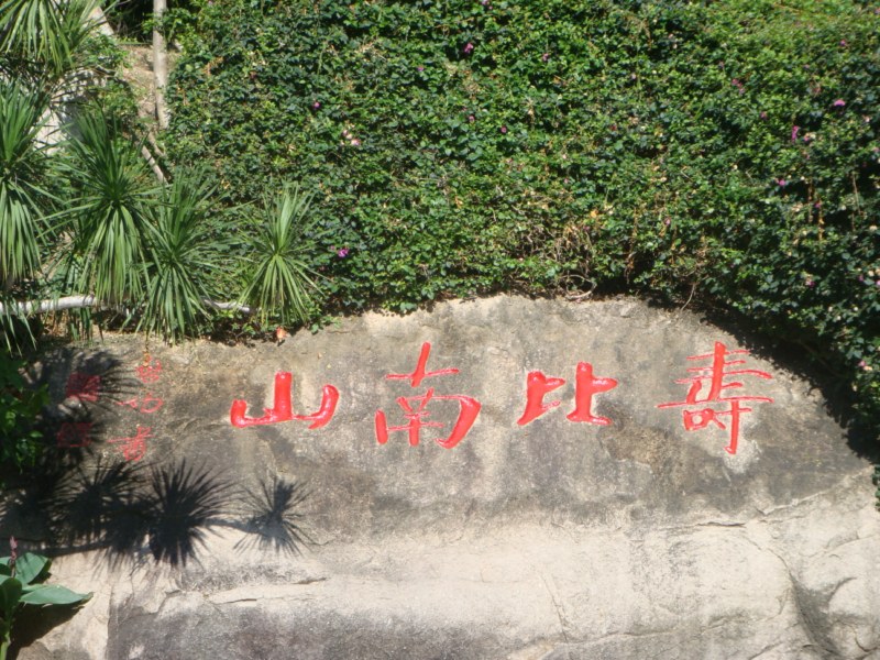 DSC00525 [800x600].jpg