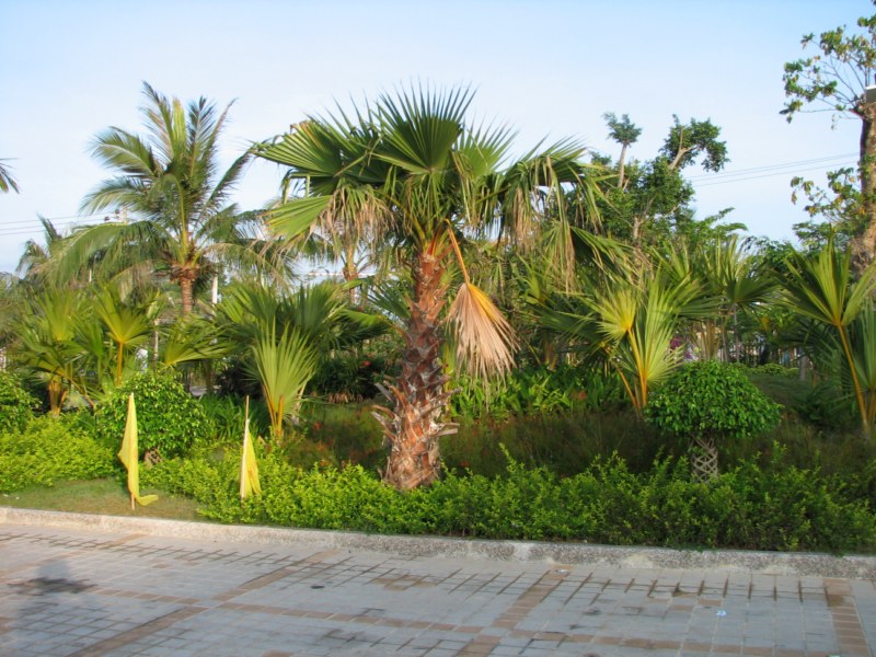 IMG_6589 [800x600].jpg