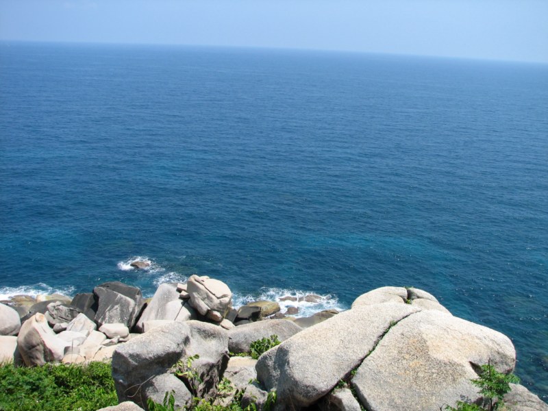 IMG_6568 [800x600].jpg