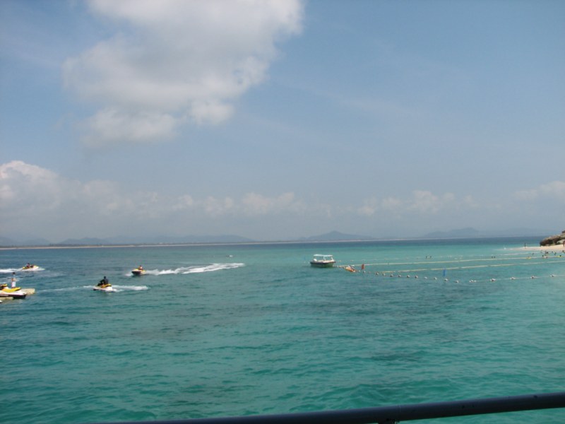 IMG_6559 [800x600].jpg