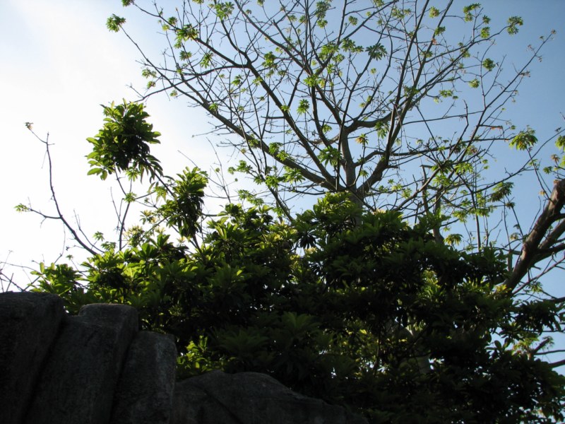 IMG_6595 [800x600].jpg